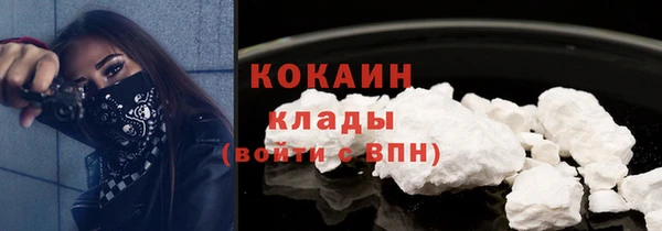 PSILOCYBIN Кодинск