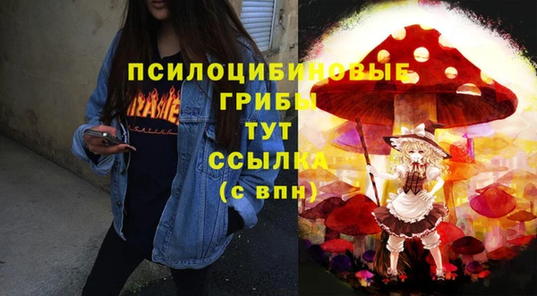 твердый Михайловск