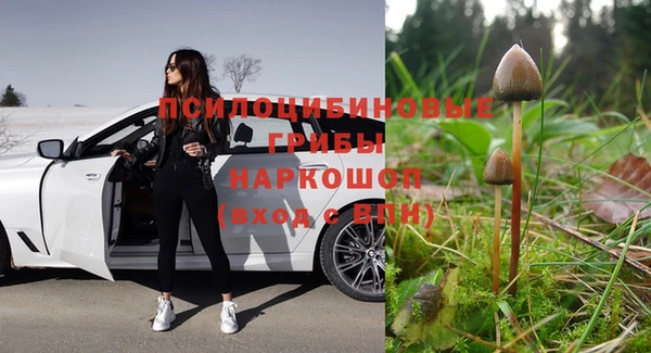 прущие грибы Козельск