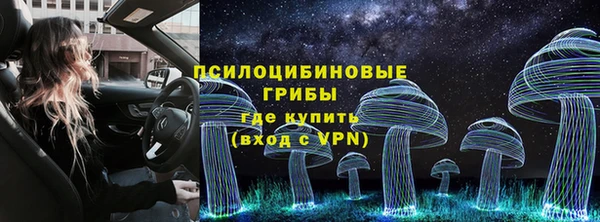 ECSTASY Козловка