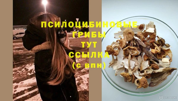 герыч Михайлов