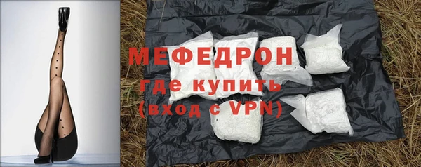 индика Кинешма