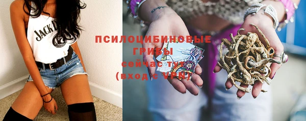 прущие грибы Козельск