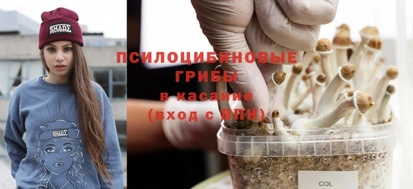 твердый Михайловск