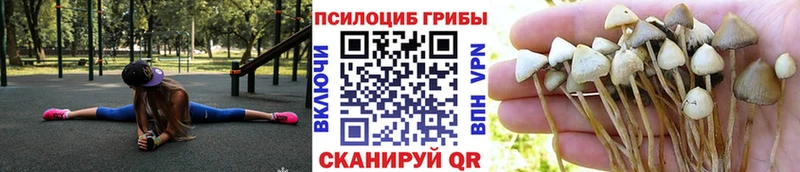 Псилоцибиновые грибы MAGIC MUSHROOMS  купить   Моршанск 
