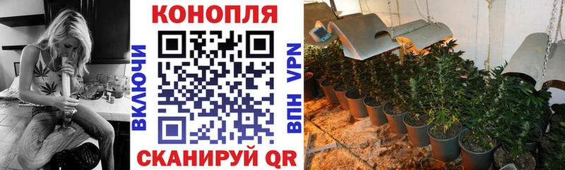 где можно купить наркотик  Моршанск  МАРИХУАНА сатива 